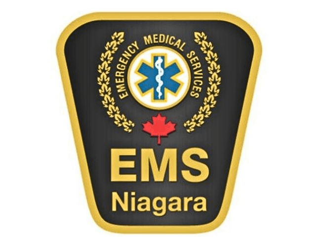 EMS logo